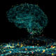 AI and data solutions for e-commerce.